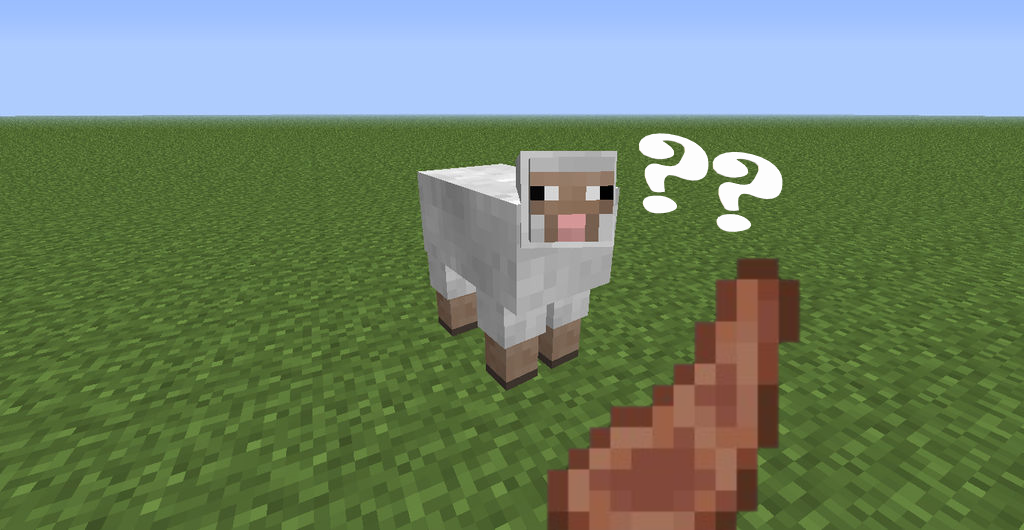 About Yummysheep